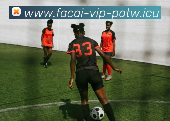 华体会体育品牌故事